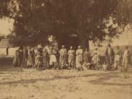 The enslaved community on a Sea Island plantation.