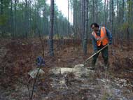 Archaeologists dig shovel tests to find sites.