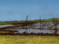Illustration of an inland rice field, ca. 1800