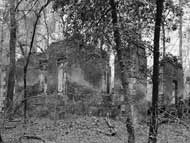 The ruins of Crowfield Plantation.