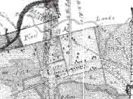 A portion of a 1793 plat showing the settlement and rice fields.